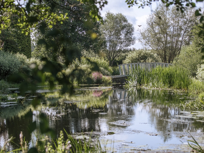 СПБ: Заповедник на «Ласточке» (7 дней) весна/лето СПБ: Заповедник на «Ласточке» (7 дней) весна/лето