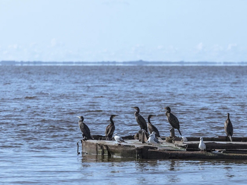 МСК: Путёвые заметки (4 дня) весна/лето МСК: Путёвые заметки (4 дня) весна/лето