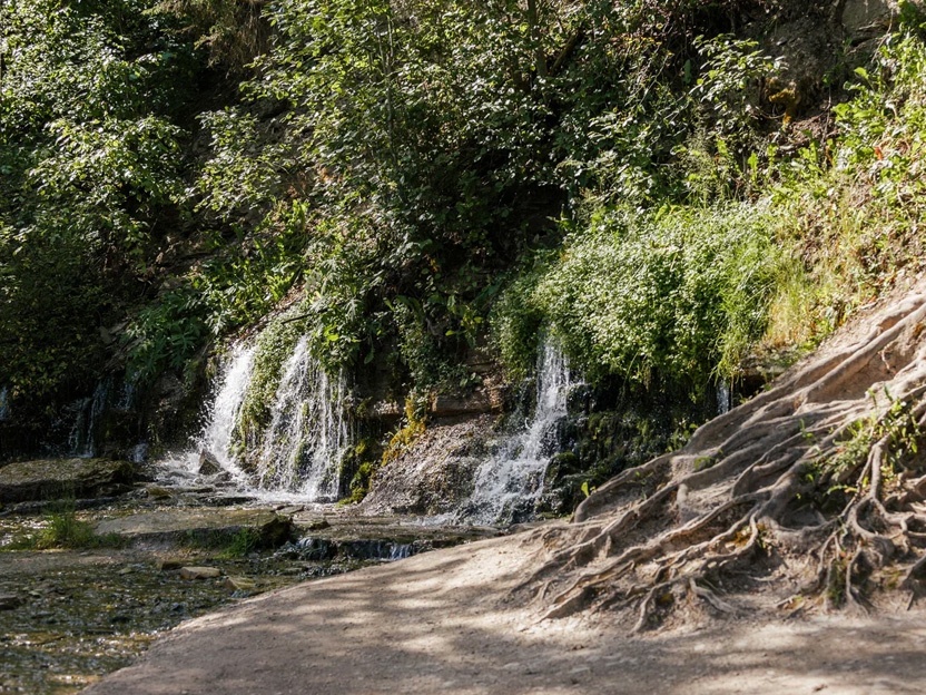МСК: Заповедник (7 дней) весна/лето МСК: Заповедник (7 дней) весна/лето