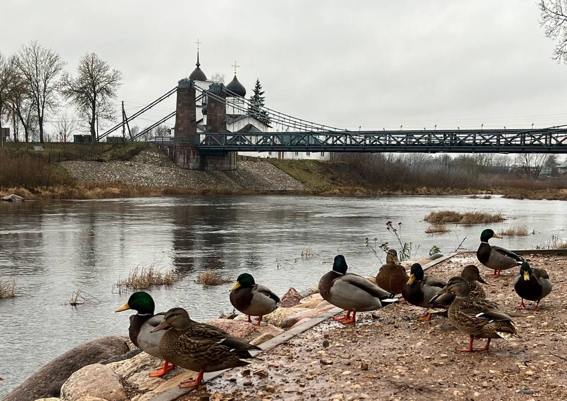 Экскурсия в город Остров + музейный комплекс «Линия Сталина», автобусно-пешеходная Экскурсия в город Остров + музейный комплекс «Линия Сталина», автобусно-пешеходная